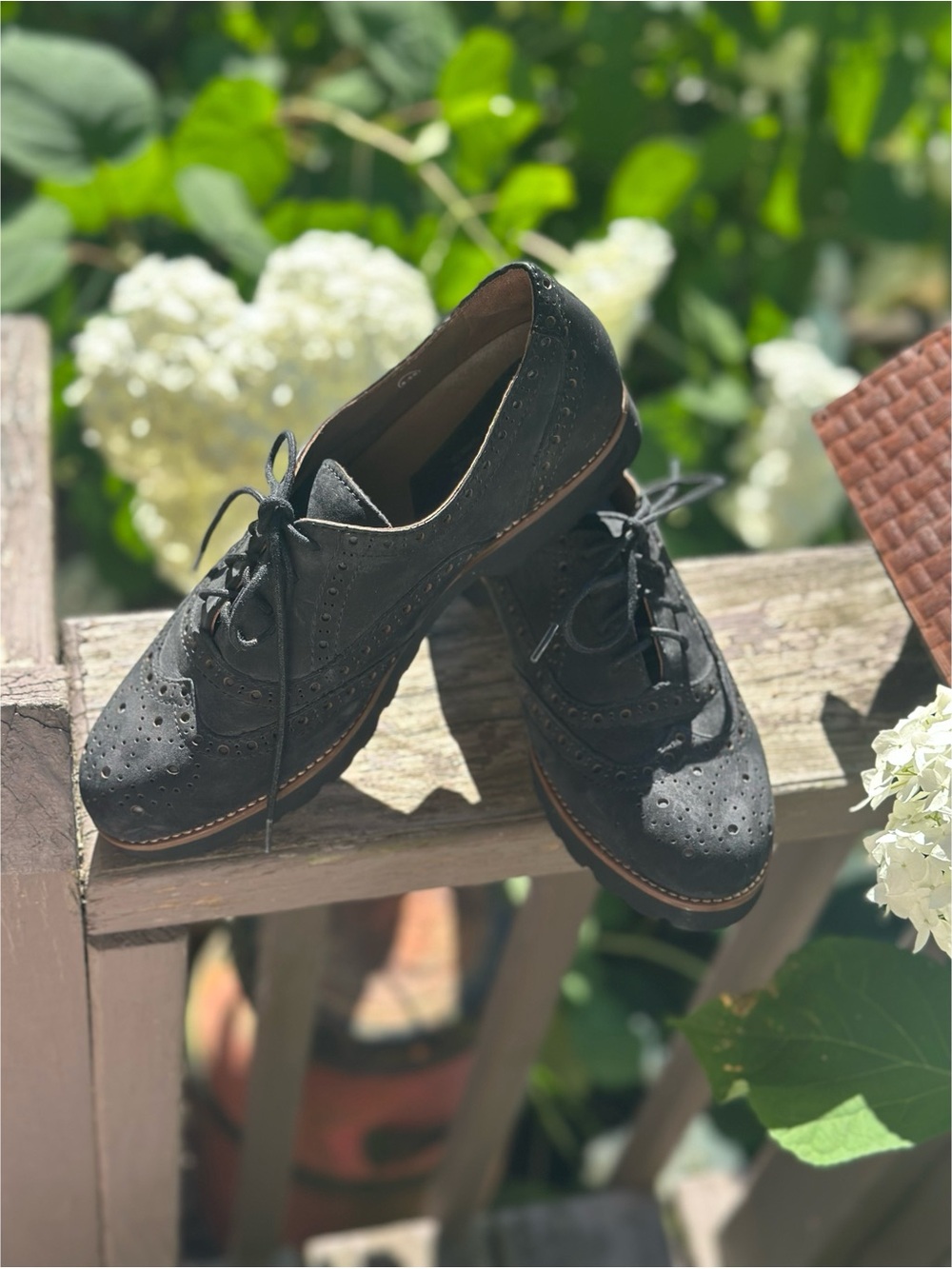 Earthies Women’s Santana Black Suede Wingtip Oxfords Size 8.5